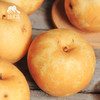 有机黄金梨 | 合作生产 *Organic gold-pear | Partner Production 商品缩略图2