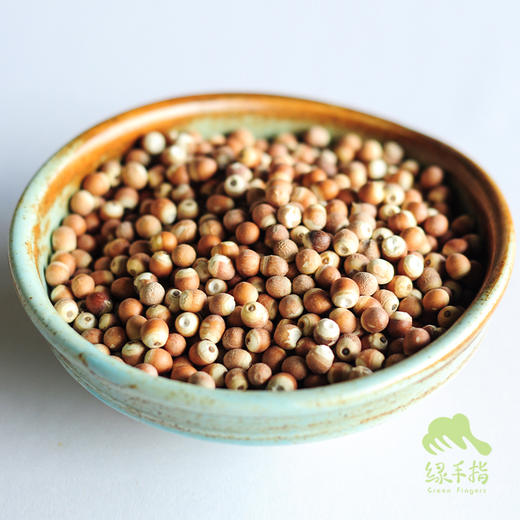 野生芡实 | 合作生产 * Wild-Gorgon fruit 商品图2