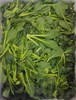 3011小油菜500克一份 甜口 商品缩略图0
