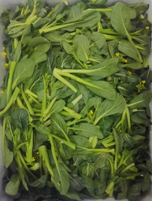 3011小油菜500克一份 甜口 商品图0