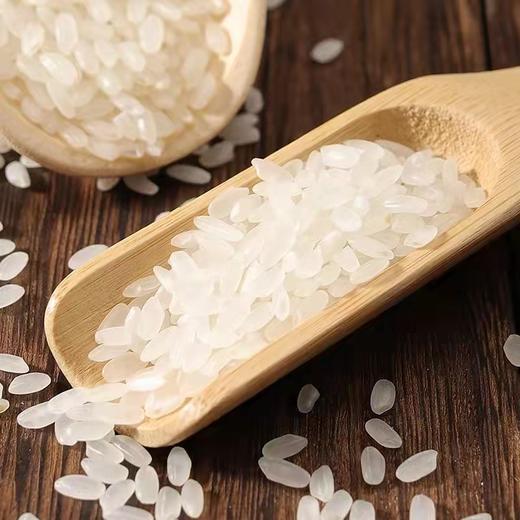 苗氏香米（10kg） 商品图1