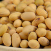 包邮 | 环县杂粮 黄豆、红豆、黑豆 多次筛选 大小均匀 颗粒饱满无杂质 养生美味 商品缩略图1