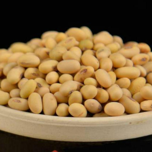 包邮 | 环县杂粮 黄豆、红豆、黑豆 多次筛选 大小均匀 颗粒饱满无杂质 养生美味 商品图2