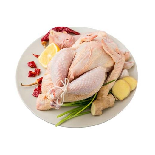 【武汉.黄陂】来仪桥丛林土鸡（送灵芝片15g+双汇炖鸡料1袋） 商品图2