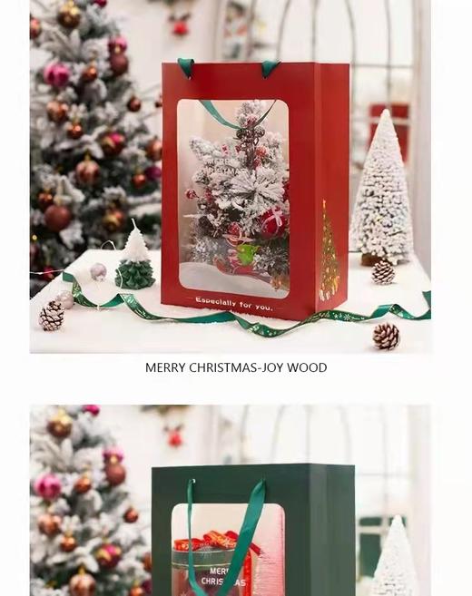 橱窗手提袋--圣诞橱窗袋 商品图4