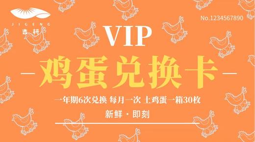 半年鸡蛋卡 商品图0