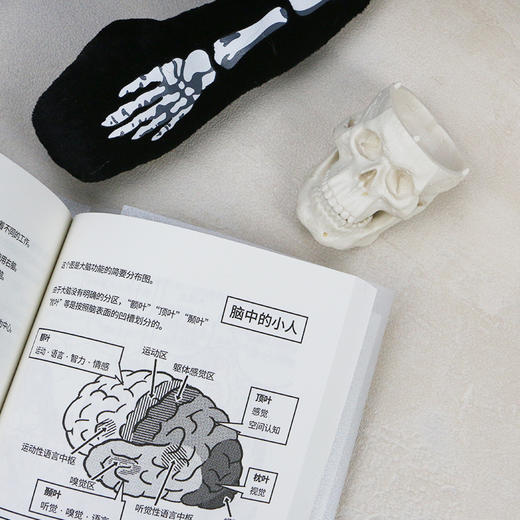 后浪正版 不可思议的人体 临床医生手绘搞笑漫画 轻松入门人体解剖生理 医学百科书籍 商品图9