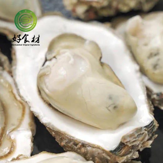 CY-山东乳山生蚝三倍体5斤 商品图0