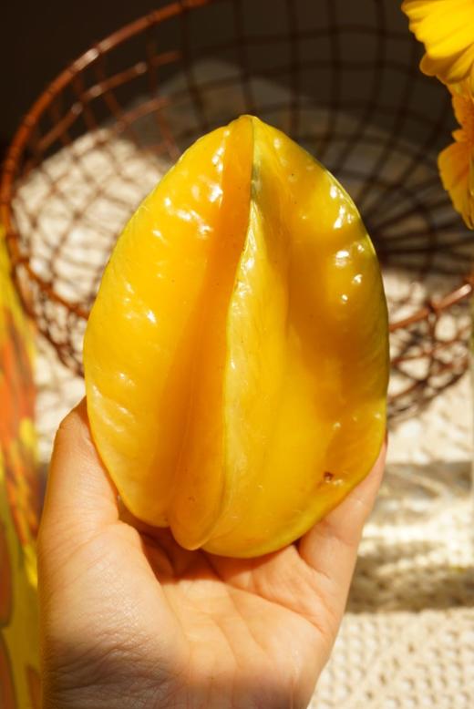 新鲜杨桃应当季现摘水果热带酸甜阳桃孕妇杨桃整箱大果包邮个头饱满 脆嫩多汁 商品图2