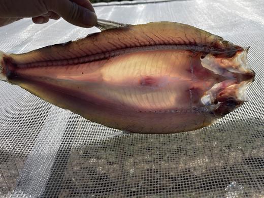 【武汉.黄陂】江城百臻木兰渔翁大白刁6斤正负0.2斤（4-6条） 商品图8