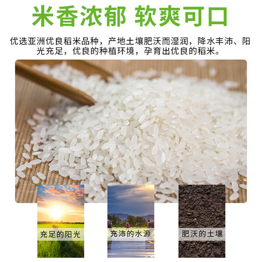 【神龙架】神农架冷水米5kg 商品图7