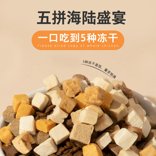 卫仕猫主粮合集（爆爆袋鲜肉冻干粮/全价粮/五拼粮/双拼粮/鲜肉粮/肠胃护理） 商品图6