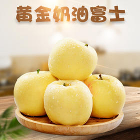 【快递停发，2月26日陆续发货】【山东.金苹果】奶油富士“黄金果” 果香浓郁 脆甜多汁 吃一口 就忘不了的味道