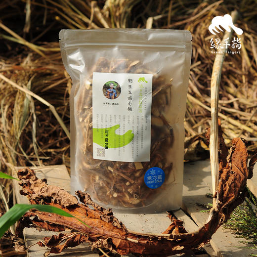 野生五指毛桃 | 合作生产*wild-radix fici simplicissimae | Coproduction 商品图4