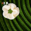 椿花宇治抹茶蛋糕 商品缩略图2
