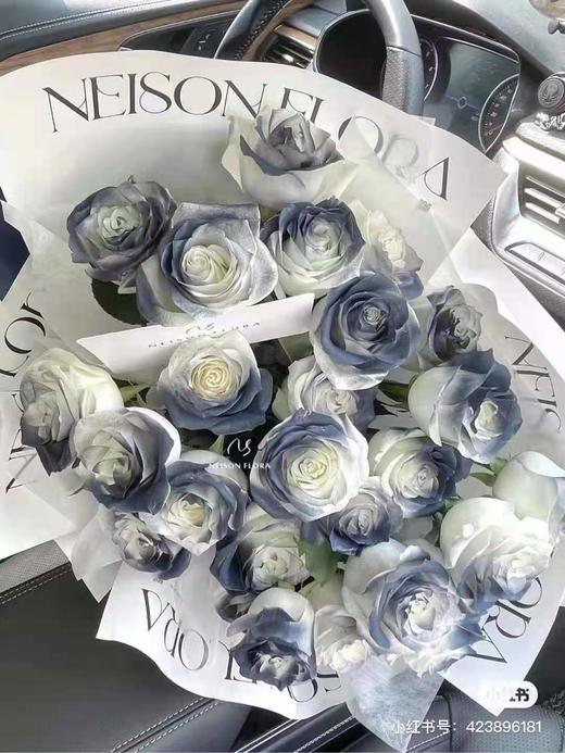 鲜花喷色剂彩喷--星乐 A 商品图2