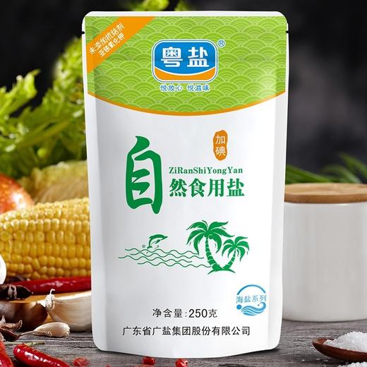 250g粤盐自然食用盐 商品图0