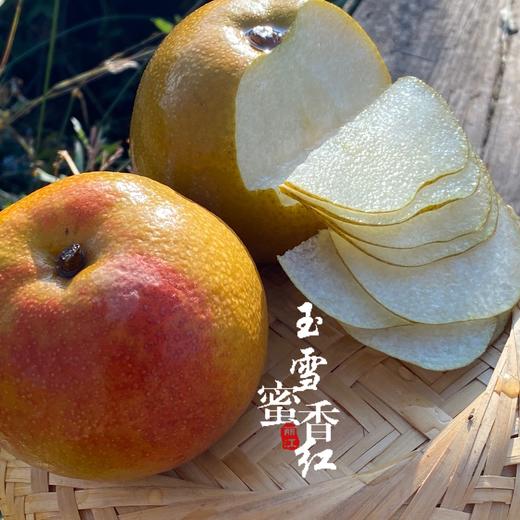 【云南玉雪蜜香红梨】又叫木梨 深山现摘现发 酸甜可口 清爽多汁 外皮黄中带红 颜色亮丽 4种规格任选 商品图4