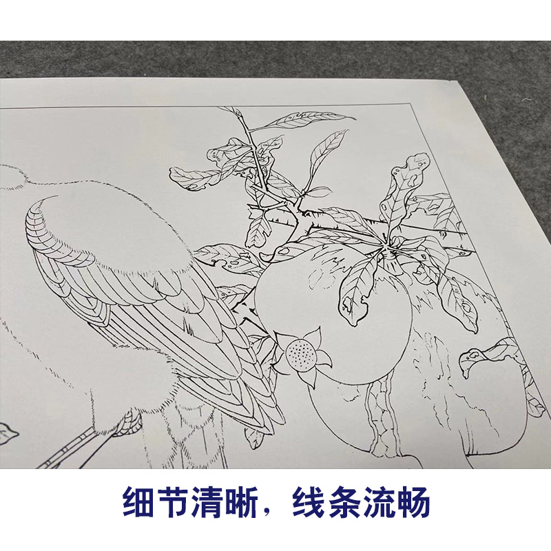 【有步骤,大彩图】李晓明工笔画白描底稿斗方小品《榴枝黄鸟图》石榴