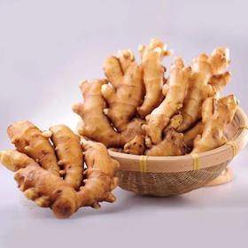 丰硒农业-兴国县有机生姜9斤装