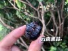 黑蒜头独头蒜零食特级正宗即食零食黑大蒜发酵蒜2罐起售 商品缩略图5