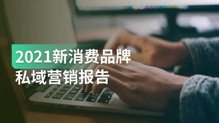 报告｜2021新消费品牌私域营销怎么做？（内附私域运营操作指南）