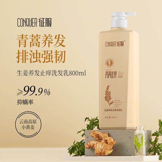征服 新升级2代青蒿洗发乳，生姜强韧去屑净爽控油蓬松系列、润肤沐浴露头皮精华素养护发丝。下单送小样*2 商品图1