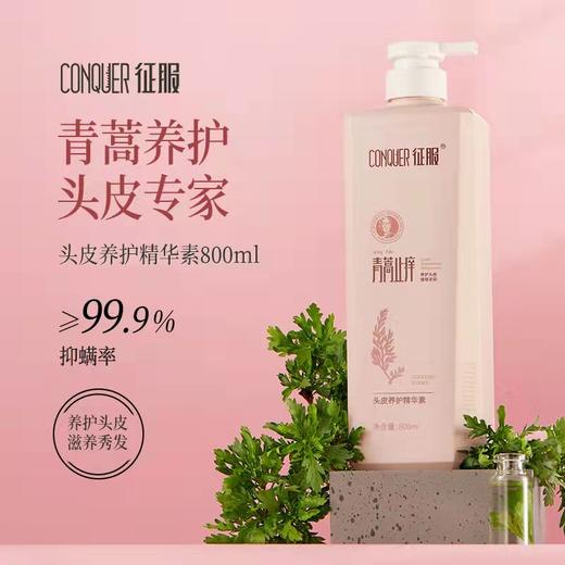 征服 新升级2代青蒿洗发乳，生姜强韧去屑净爽控油蓬松系列、润肤沐浴露头皮精华素养护发丝。下单送小样*2 商品图4