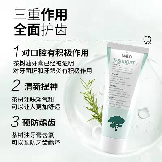 [屁侠推荐]瑞士Dr.wild怀尔德 清新口气 平衡口腔菌群环境 Tebodont茶树精油牙膏75ml 商品图2