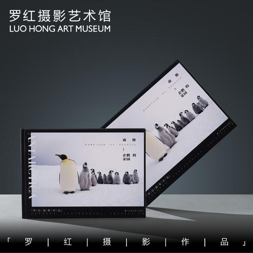 罗红摄影作品-南极：企鹅的家园 商品图0