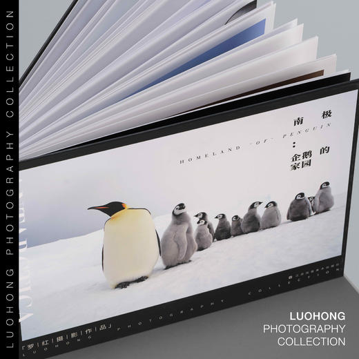 罗红摄影作品-南极：企鹅的家园 商品图1