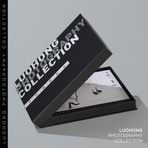 罗红摄影作品-黑天鹅：优雅至尊 商品图3