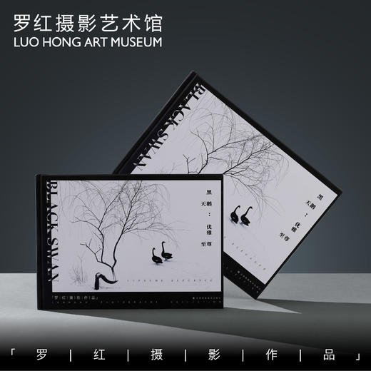 罗红摄影作品-黑天鹅：优雅至尊 商品图0