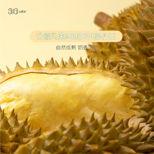 肉多多榴莲千层，可选6/8英寸 商品图3