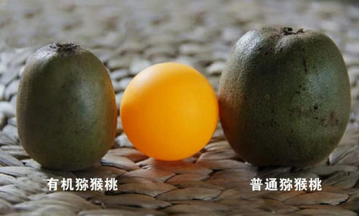 有机红心红阳猕猴桃 产地直发  全国配送（偏远地区除外） 商品图1