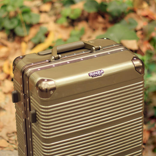 银座PC铝框旅行箱飞机轮20/24/29寸商务登机箱密码锁拉杆箱男女6618K 商品图12