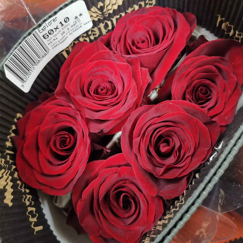 520情人节厄瓜多尔玫瑰explorer 探险家10支
