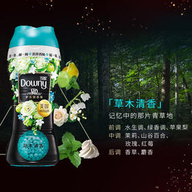 当妮护衣留香珠草木清香200g（计价单位：瓶）蓝色（BJ）