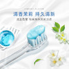 佳洁士(Crest)3D炫白 茉莉茶爽牙膏180g（BJ） 商品缩略图2