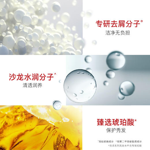 沙宣水润去屑洗发露 400ml（BJ） 商品图7