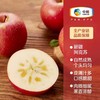 【分仓直发包邮 预售 25.12.10日左右发货】中粮安萃新疆阿克苏红富士苹果礼盒3.5kg（12粒） 商品缩略图1