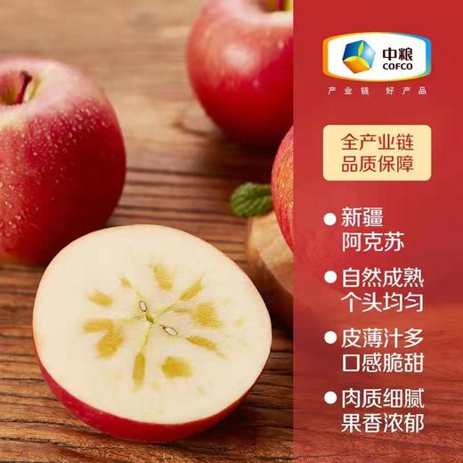 【分仓直发包邮 预售 25.12.10日左右发货】中粮安萃新疆阿克苏红富士苹果礼盒3.5kg（12粒） 商品图1