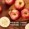 【分仓直发包邮 预售 25.12.10日左右发货】中粮安萃新疆阿克苏红富士苹果礼盒3.5kg（12粒） 商品缩略图2