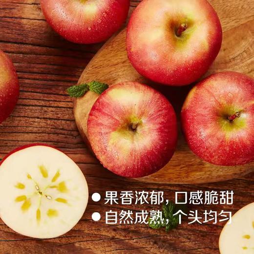 【分仓直发包邮 预售 25.12.10日左右发货】中粮安萃新疆阿克苏红富士苹果礼盒3.5kg（12粒） 商品图2
