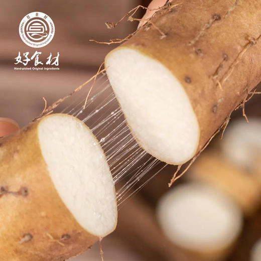 CY-河北正宗小白嘴山药带土 商品图2