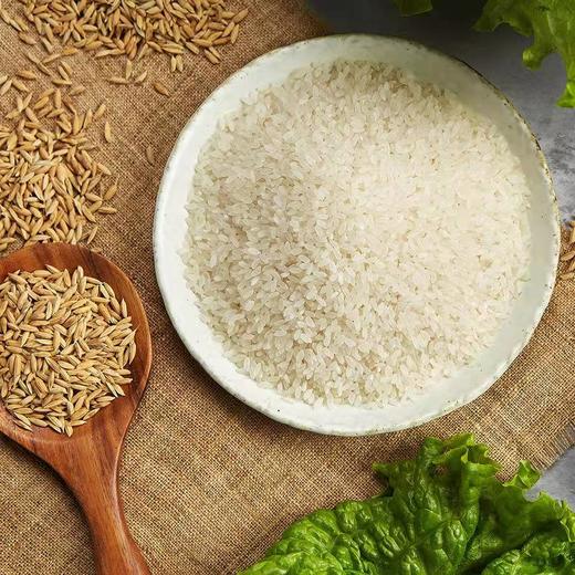 中粮初萃特别栽培五优稻4号稻花香大米5kg（新老包装交替） 商品图3