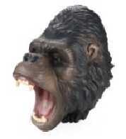 【武汉】达尔文实验站商品 商品图9