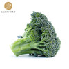 西兰花 400g/份   全国配送（偏远地区除外） 商品缩略图0