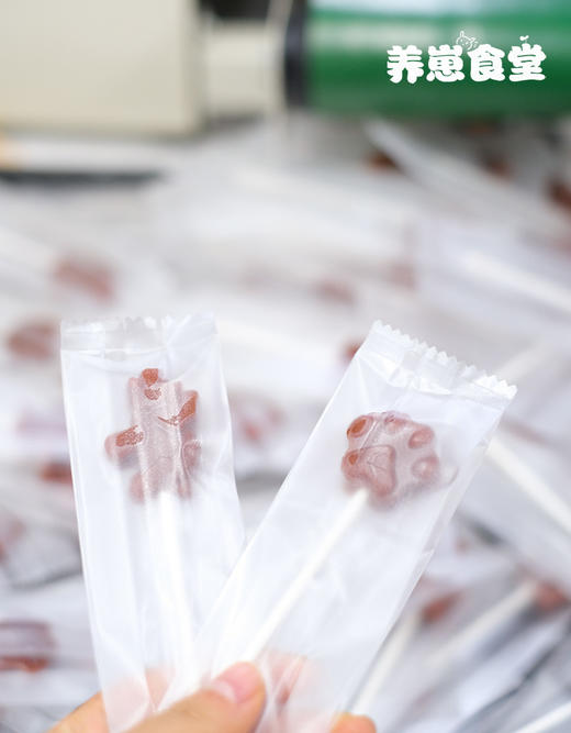 蓝莓山楂棒 商品图3