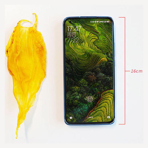 深海鲨鱼胶礼盒100g【LY】【包邮直发】 商品图3